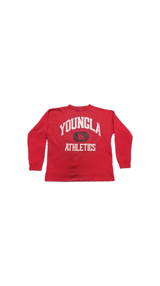 HOODIE UNI VINTAGE CREWNECK
