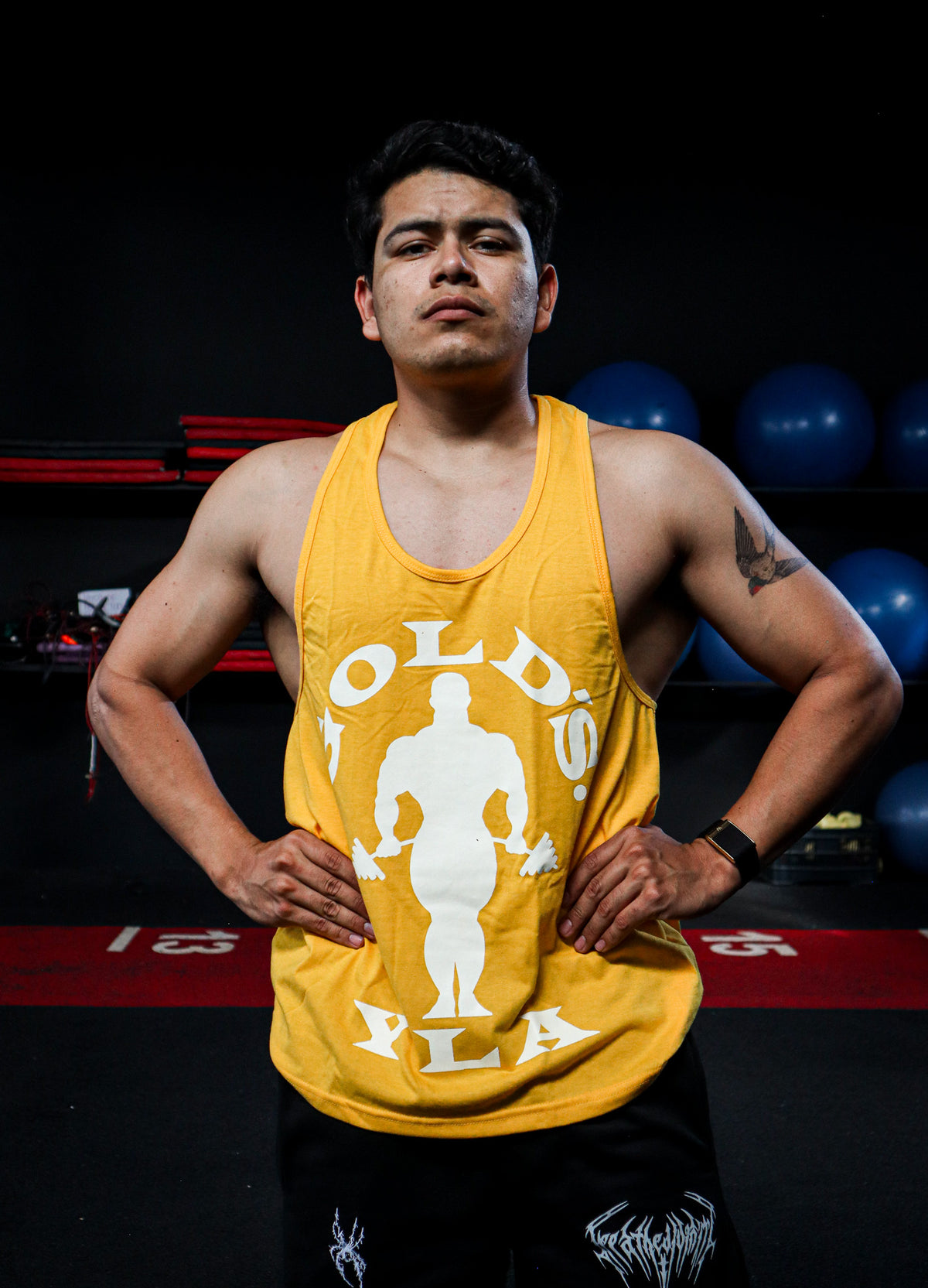 OLÍMPICA GOLD’S YLA